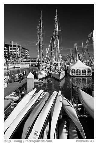 Kayaks and yachts, Jack London Square. Oakland, California, USA (black and white)