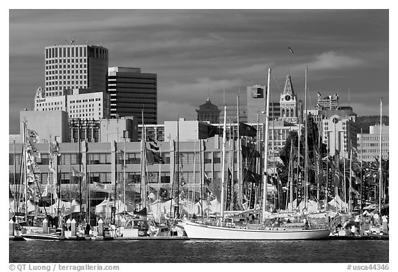 Marina and skyline. Oakland, California, USA (black and white)