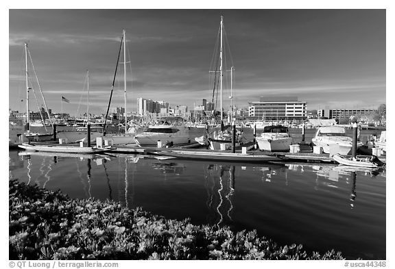 Alameda marina and Oakland skyline. Oakland, California, USA (black and white)