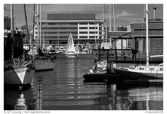 Yachts and houseboats, Alameda. Oakland, California, USA