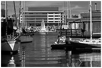 Yachts and houseboats, Alameda. Oakland, California, USA ( black and white)