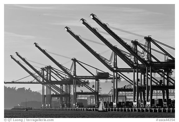 Giant cranes dwarf yacht Port of Oakland. Oakland, California, USA (black and white)