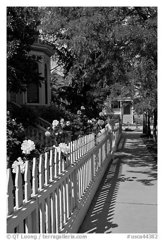 Manicured frontyard with flowers, Preservation Park. Oakland, California, USA