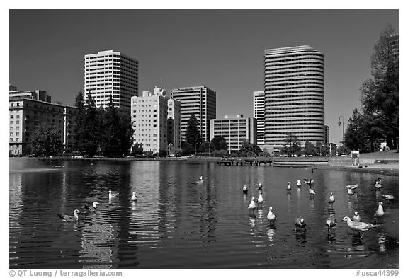 Lake Merritt, first US wildlife refuge, designated in 1870. Oakland, California, USA