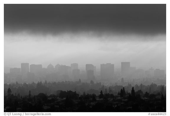 Oakland skyline backlit in late afternoon. Oakland, California, USA (black and white)