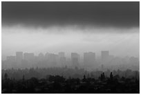 Oakland skyline backlit in late afternoon. Oakland, California, USA (black and white)