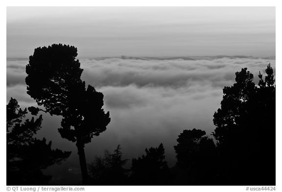 Low clouds at sunset seen from foothills. Oakland, California, USA (black and white)