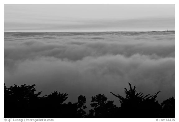 Sea of clouds at sunset. Oakland, California, USA (black and white)