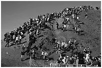 Crowds scrambling on hill during mavericks competition. Half Moon Bay, California, USA (black and white)