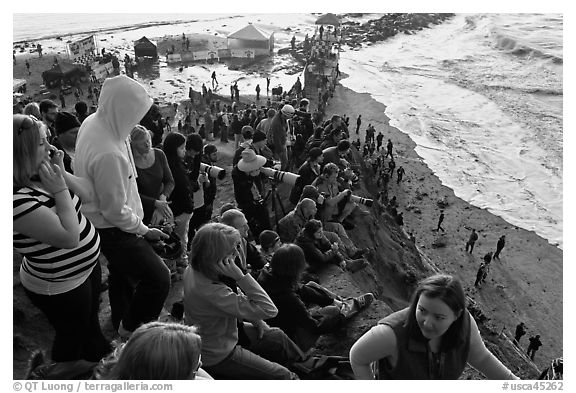 View from the bluff during mavericks contest. Half Moon Bay, California, USA (black and white)