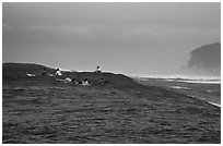 Surfers waiting for wave at Mavericks. Half Moon Bay, California, USA ( black and white)