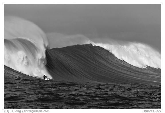 Surfing big wave at the Mavericks. Half Moon Bay, California, USA (black and white)
