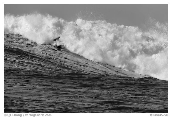 Surfer in Maverick wave. Half Moon Bay, California, USA (black and white)