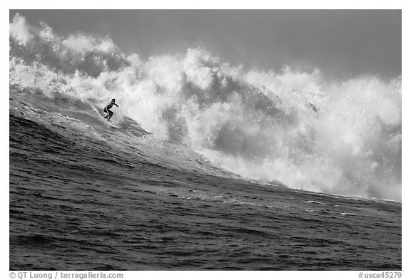 Surfing Mavericks. Half Moon Bay, California, USA (black and white)