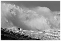 Surfer in Mavericks break. Half Moon Bay, California, USA (black and white)