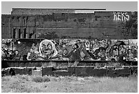 Political mural art. Berkeley, California, USA (black and white)