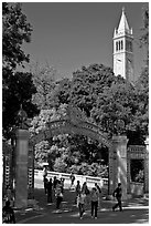 Sather Gate and Campanile, UC Berkeley. Berkeley, California, USA (black and white)