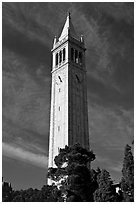 Campanile Tower, University of California at Berkeley. Berkeley, California, USA (black and white)