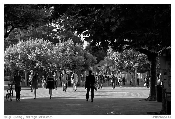 Students walking on Sproul Plazza. Berkeley, California, USA (black and white)