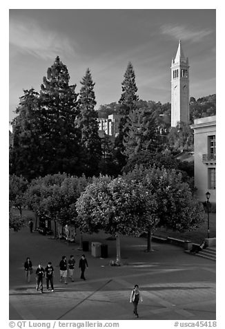 Campus of University of Berkeley with Campanile. Berkeley, California, USA