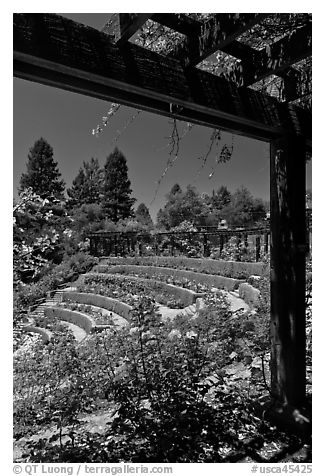 Berkeley Municipal Rose Garden. Berkeley, California, USA (black and white)