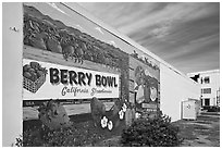 Wall with mural celebrating berry growing. Watsonville, California, USA (black and white)