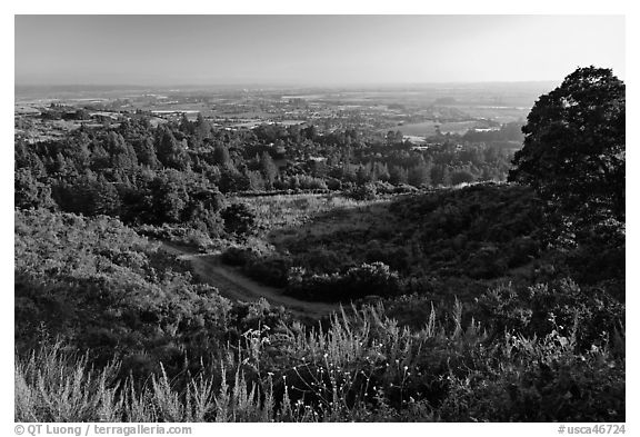 View from Heckler Pass road. Watsonville, California, USA (black and white)