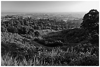 View from Heckler Pass road. Watsonville, California, USA ( black and white)