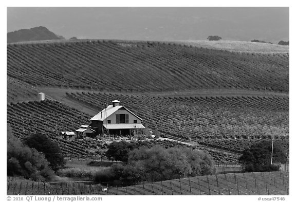 Red barn and wine country landscape from above. Napa Valley, California, USA (black and white)
