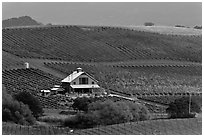 Red barn and wine country landscape from above. Napa Valley, California, USA (black and white)