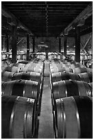 Wine aging in wooden barrels. Napa Valley, California, USA (black and white)