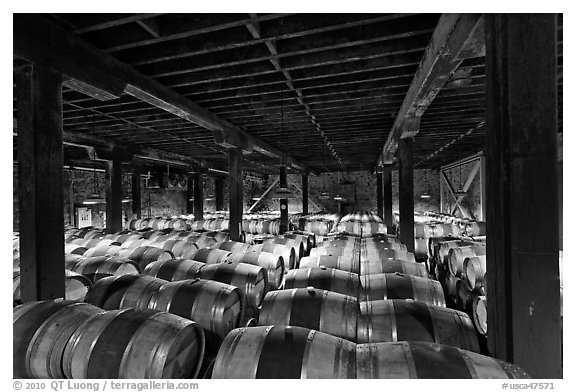 Barrels of wine in wine cellar. Napa Valley, California, USA (black and white)