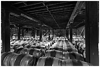 Barrels of wine in wine cellar. Napa Valley, California, USA ( black and white)
