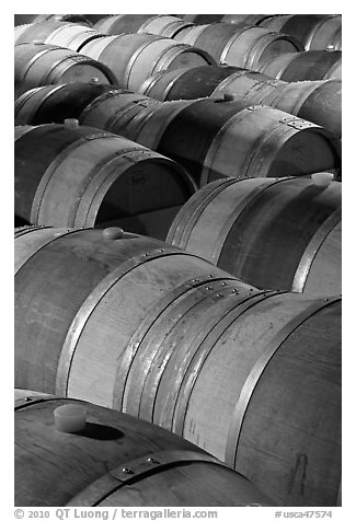 Oak barrels, Hess Collection winery. Napa Valley, California, USA