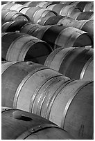 Oak barrels, Hess Collection winery. Napa Valley, California, USA (black and white)