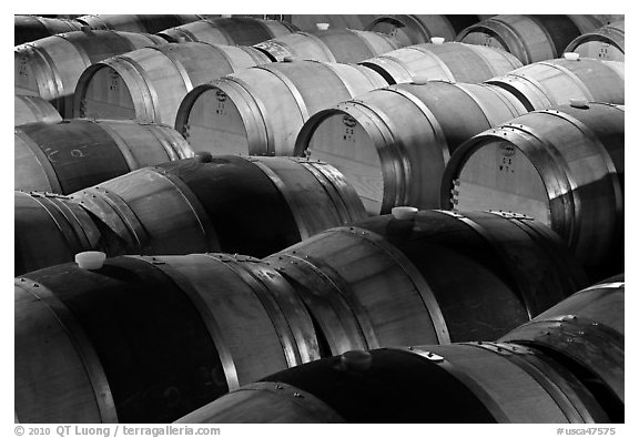 Rows of wine barrels in cellar, close-up. Napa Valley, California, USA (black and white)