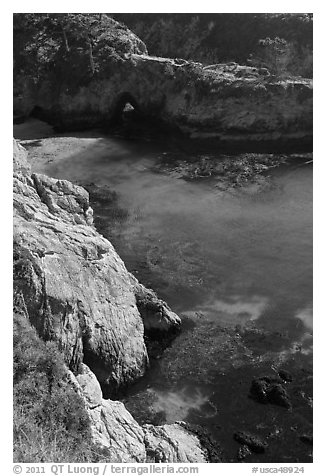 Emerald waters and kelp, China Cove. Point Lobos State Preserve, California, USA (black and white)