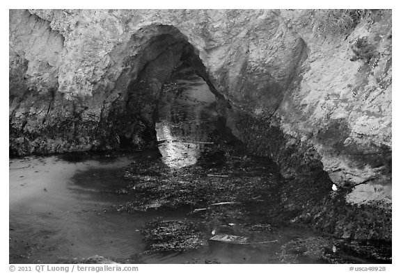 Sea arch, China Cove. Point Lobos State Preserve, California, USA (black and white)