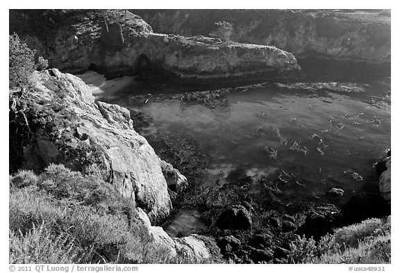 Rocks, water, and kelp, China Cove. Point Lobos State Preserve, California, USA (black and white)