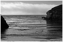 Marine layer offshore China Cove. Point Lobos State Preserve, California, USA ( black and white)