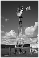 Windmill in pasture. California, USA (black and white)