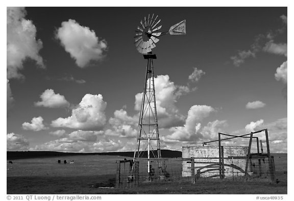 Windmill and clouds. California, USA (black and white)