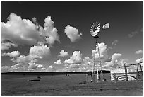 Pasture in early spring with windmill. California, USA (black and white)