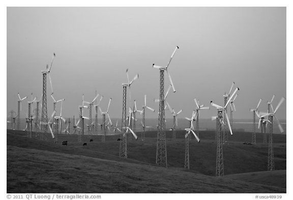 Altamont wind farm at dusk. California, USA (black and white)