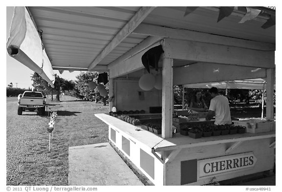 Fruit stand. California, USA