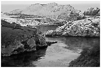 Fjord and rocks laden with birds. Point Lobos State Preserve, California, USA (black and white)