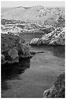 Rocks covered with seabirds. Point Lobos State Preserve, California, USA ( black and white)