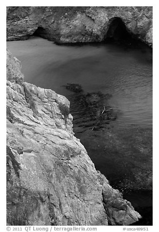 Green waters of China Cove. Point Lobos State Preserve, California, USA (black and white)