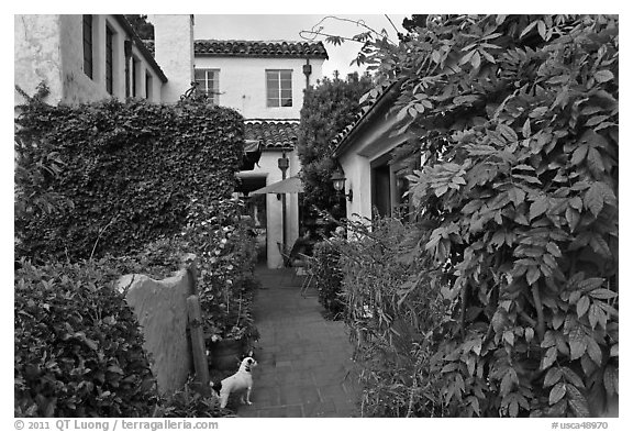 Alley. Carmel-by-the-Sea, California, USA (black and white)