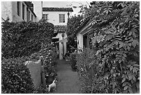 Alley. Carmel-by-the-Sea, California, USA ( black and white)